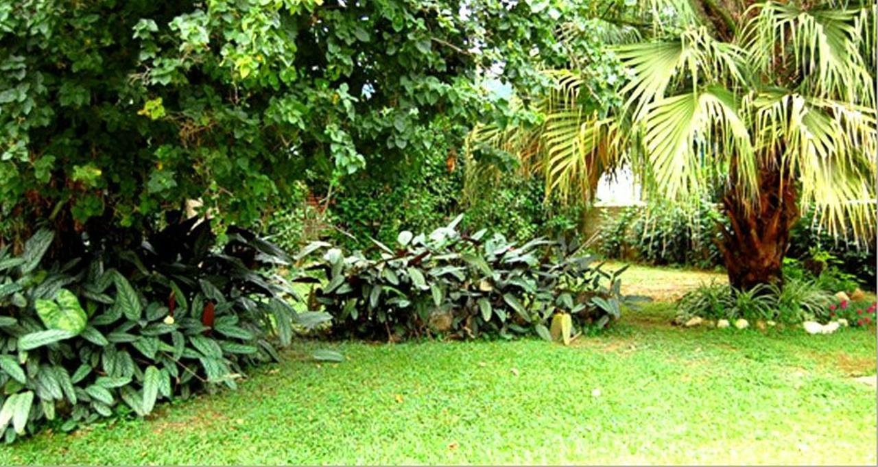Hotel Primavera Penedo  Kültér fotó